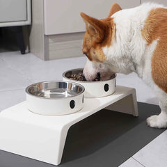 Elevated Double Pet Feeder - Raised Stand with Stainless Steel Bowls