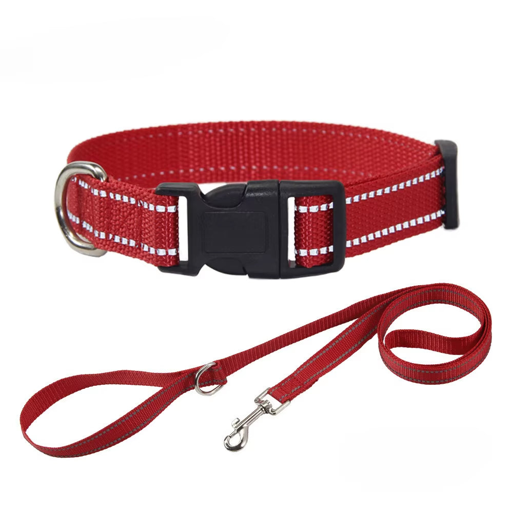 NightGuard Nylon Dog Collar & Leash