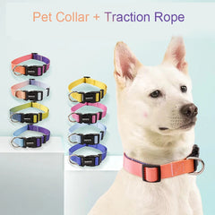 Nylon Adjustable Pet Collar and Leash Set | Durable Walking Traction Lead for Small, Medium, and Large Pets - Pink
