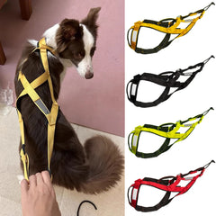 Reflective Padded Dog Sledding & Weight Pulling Harness for Large Dogs