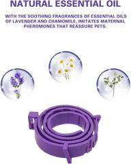 Cat Calming Collar 3-Pack & 4-Pack - Natural Pheromone Anxiety Relief