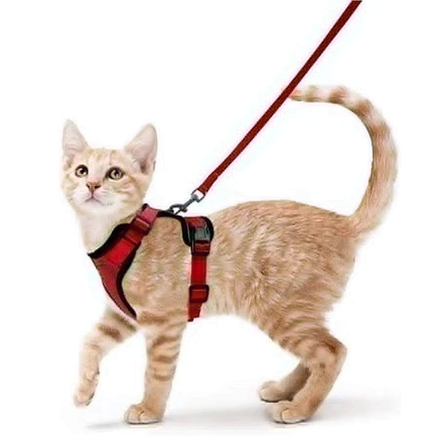 Cat Harness and Leash Set for Walking - Escape-Proof Adjustable Soft Vest Harness for Cats with Easy Control