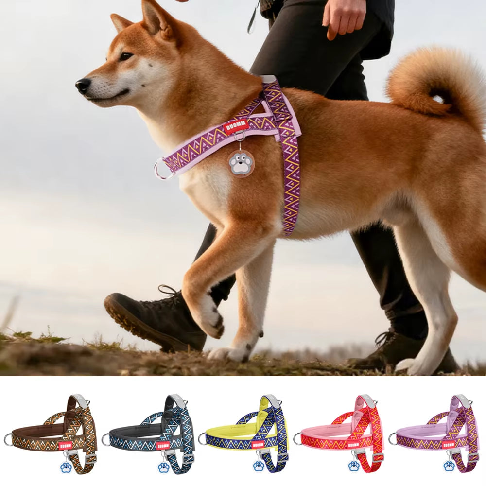 Dog Harness Fashion Printed Saddle, Soft Adjustable No-Pull Padded Vest with Handle for Pet All Breeds