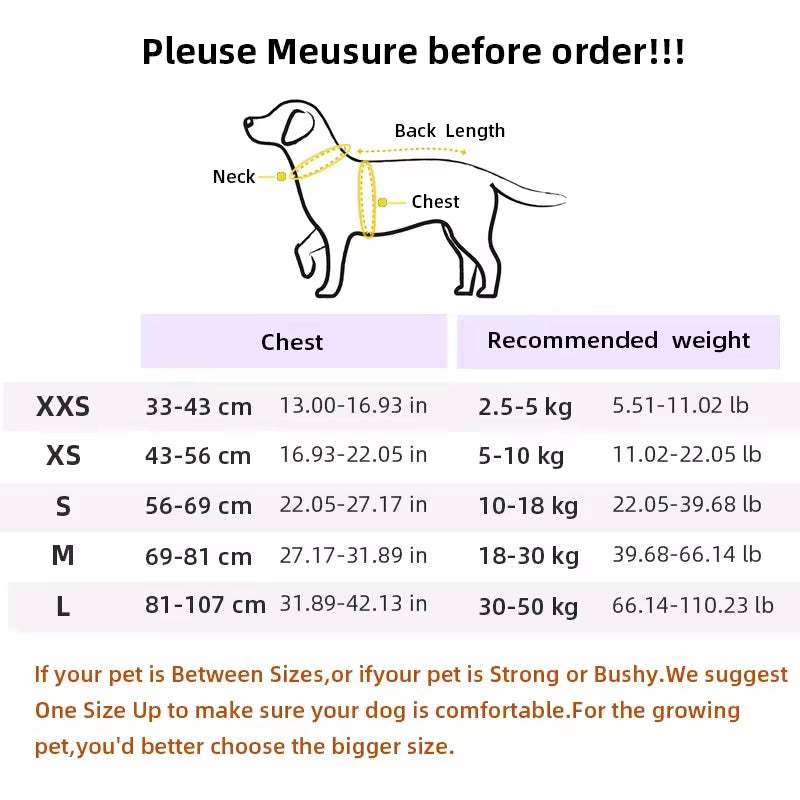 Adjustable Dog Summer Breathable Harness With Matching Leash