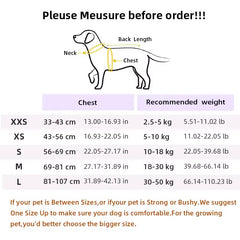 Adjustable Dog Summer Breathable Harness With Matching Leash