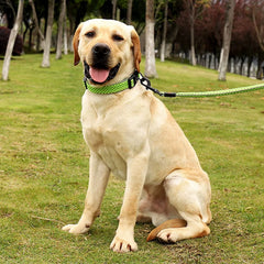 Set Pet Leash Collar Dog Walking Reflective Leashes