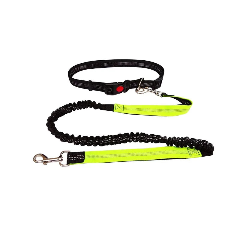Hands-Free Dog Leash with Adjustable Waist Belt and Shock-Absorbing Bungee - Reflective Running, Jogging, and Walking Traction Rope for Small, Medium, and Large Dogs