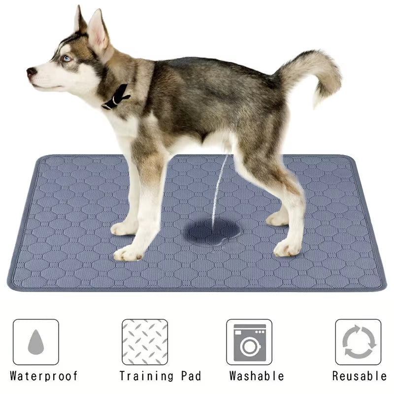 Washable Dog Pee Pad Blanket - Reusable Absorbent Diaper Mat for Puppy Training, Pet Bed, and Car Seat Cover