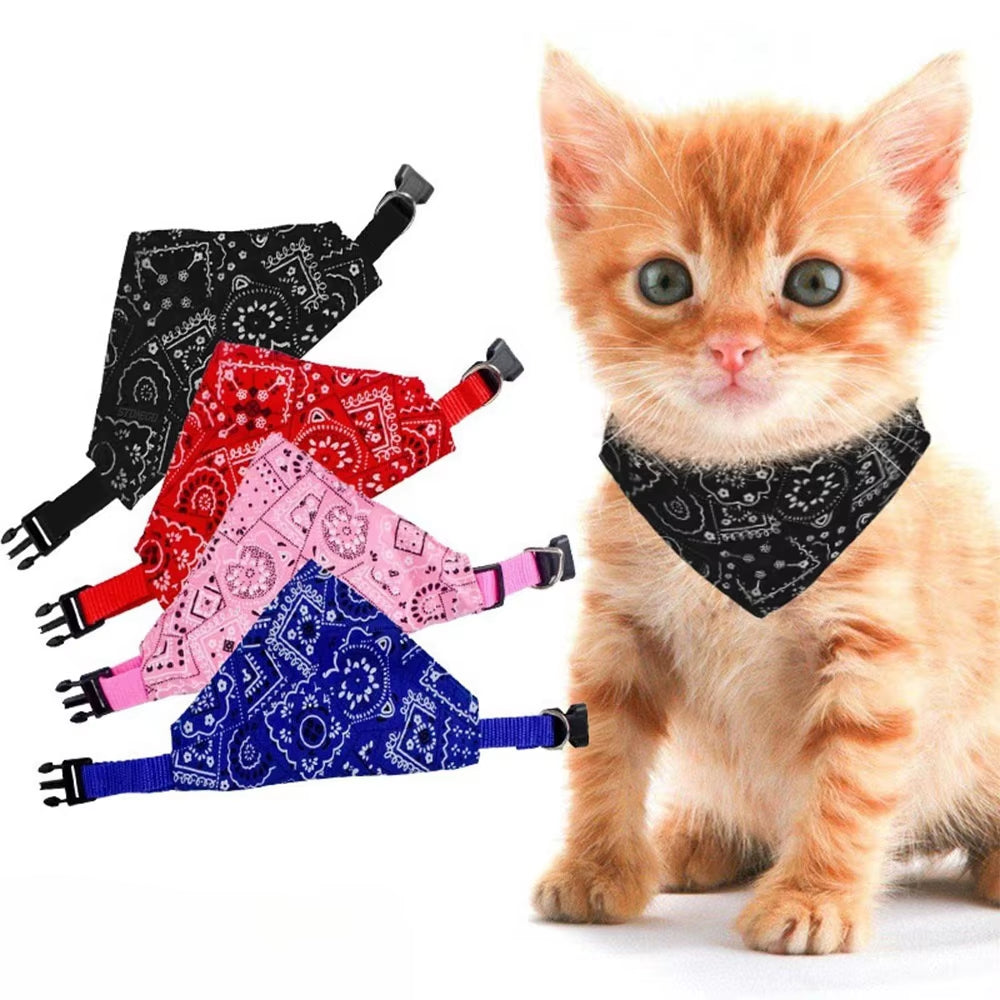 Pet Triangle Scarf - Printed Design