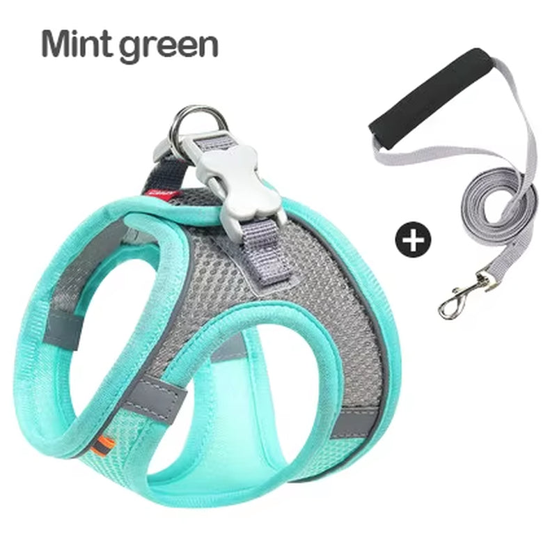 MADDEN Reflective Adjustable Dog Harness Vest and Leash Set for Small to Medium Pets - Breathable Outdoor Walking Solution