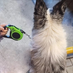 3/5M Dog Leash for Small Medium Dogs Cats Puppy Lead Extending Traction Rope Belt Automatic Retractable Outdoor Running Supplies