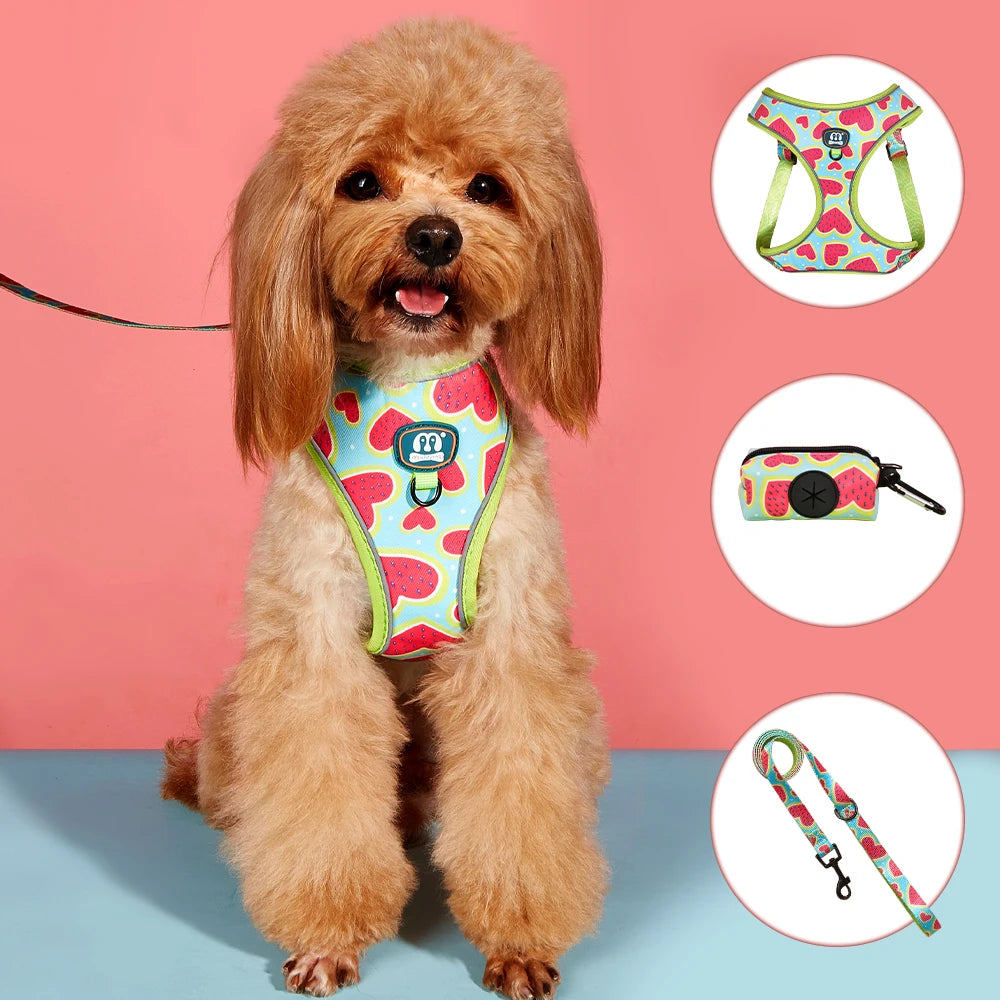 Premium 3-Piece No-Pull Dog Harness and Leash Set with Poop Bag Holder - Breathable Padded Mesh Walking Vest and Travel Waste Bag Case Set for Dogs and Cats
