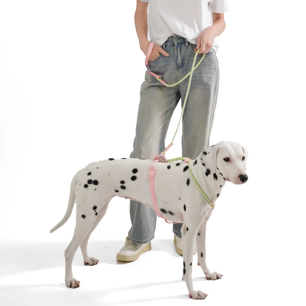 Cute Candy Color Dog Collar & Leash Set – PVC Biothane & Reflective Nylon for Small and Medium Dogs