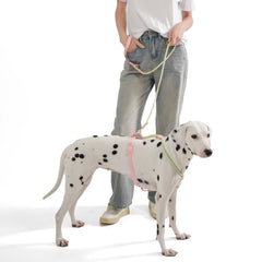 Cute Candy Color Dog Collar & Leash Set – PVC Biothane & Reflective Nylon for Small and Medium Dogs