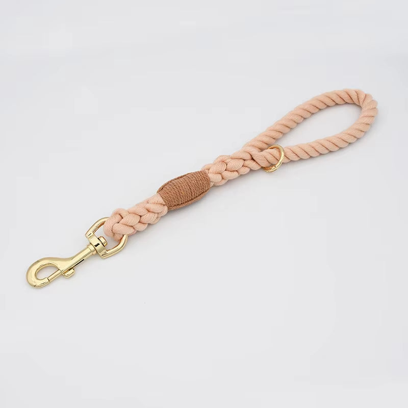 Loudik P-Chain Collar Leads - Fancy Styles