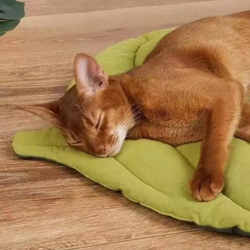 Leaf-Shaped Pet Mat – Reversible Cotton Bed for Cats & Dogs, Washable & Non-Slip