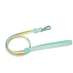 Iridescent Color-Block Dog Collar Leash & Comfort Harness