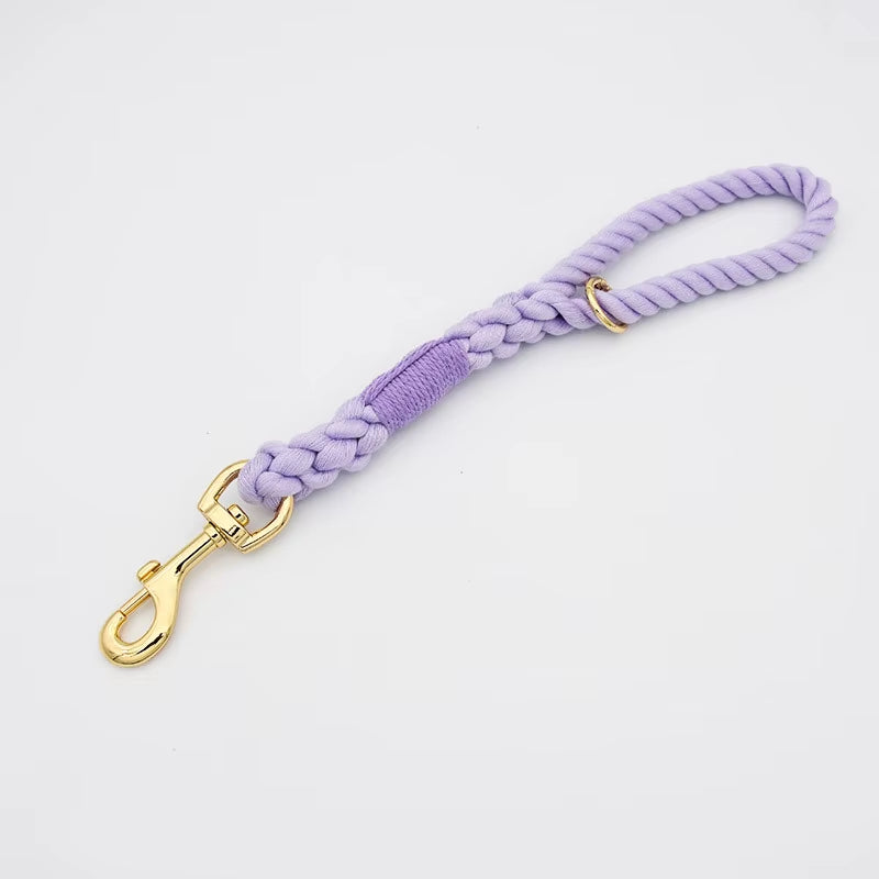 Loudik P-Chain Collar Leads - Fancy Styles