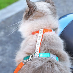 Reflective H-Shape Pet Harness & Leash Set - Anti-Breakaway Walking Kit