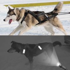 Professional Dog Sledding & Weight Pulling Harness - Reflective Waterproof Skijoring Vest - Heavy-Duty Padded Training Harness for Large Dogs