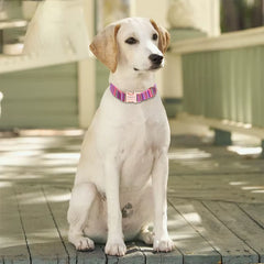 Adjustable Dog Collar Bohemian Stripe Plaid Pet Collar Ethnic Pet Collars with Metal Buckle for Medium to Large Dog Accessories