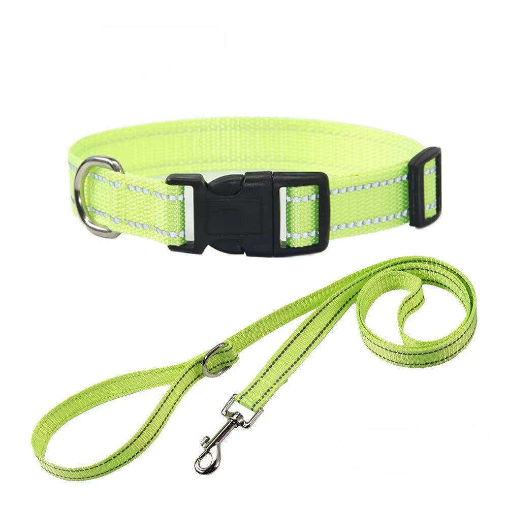 NightGuard Nylon Dog Collar & Leash