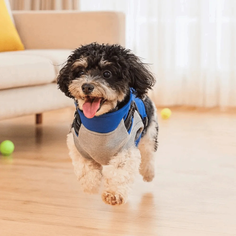 Pawzation Adjustable Winter Puffer Jacket – Thickened Waterproof Pet Coat with Integrated Harness for Dogs & Cats