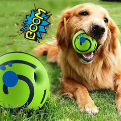 Giggle Sound Interactive Dog & Cat Ball - Glowing Motion-Activated Toy