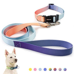 Nylon Adjustable Pet Collar and Leash Set | Durable Walking Traction Lead for Small, Medium, and Large Pets - Pink