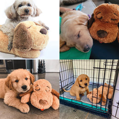 Puppy Heartbeat Calming Toy – Behavioral Training Aid for Separation Anxiety & Sleep