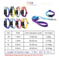 Nylon Adjustable Pet Collar and Leash Set | Durable Walking Traction Lead for Small, Medium, and Large Pets - Pink