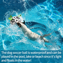 Interactive Dog Soccer Ball with Tug Straps