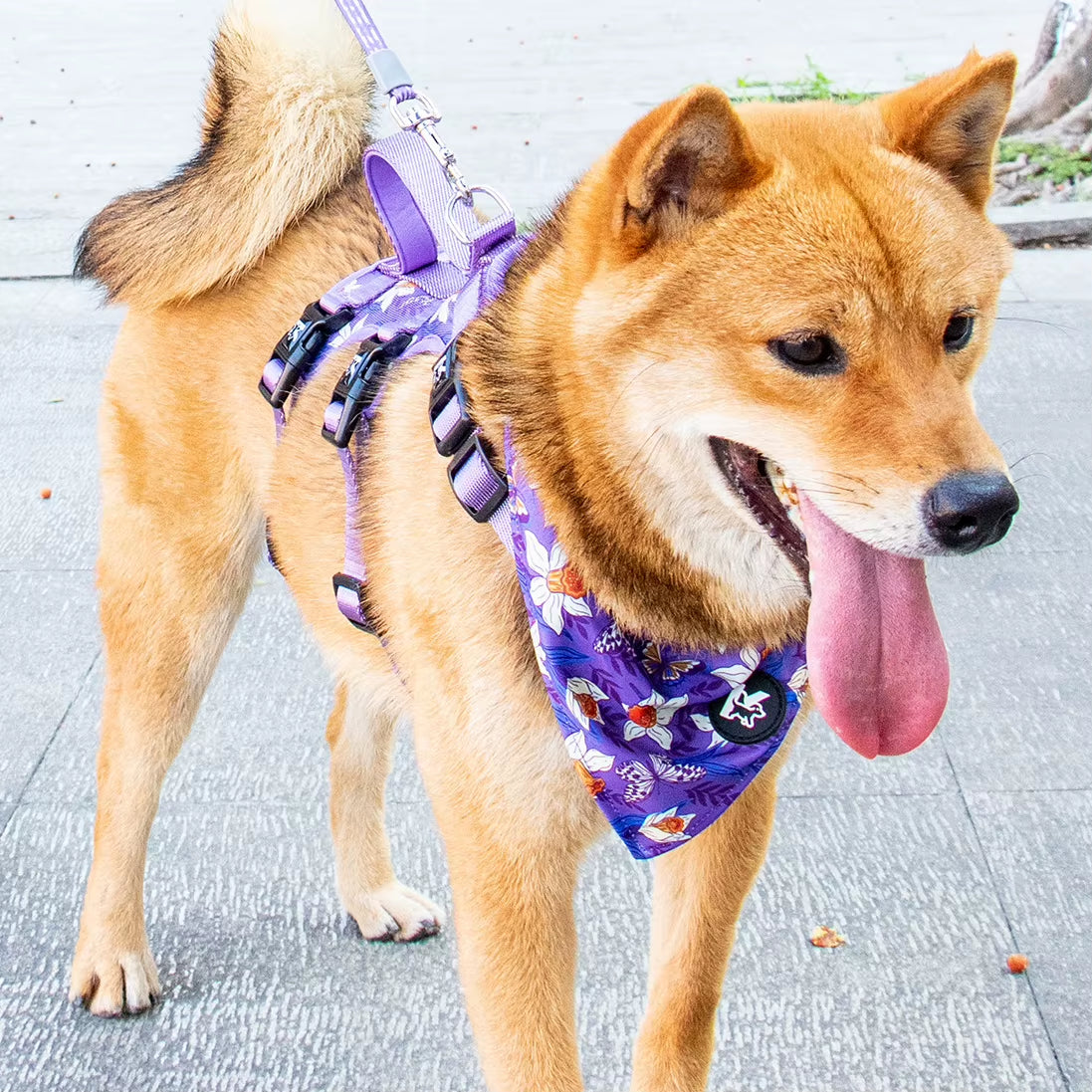 Fashion Floral Dog Bandana – Soft Breathable Pet Saliva Towel for Small, Medium & Large Dogs