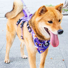 Fashion Floral Dog Bandana – Soft Breathable Pet Saliva Towel for Small, Medium & Large Dogs