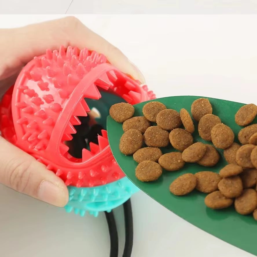 1 Pcs Pet Dog Puppy Molar Bite Toy Tug Rope Ball Chew Toys Tooth Cleaning Suction Cup