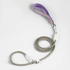 P Chain Pet Dog Rope Leash Outdoor Walking Training Lead for Small Medium Dogs