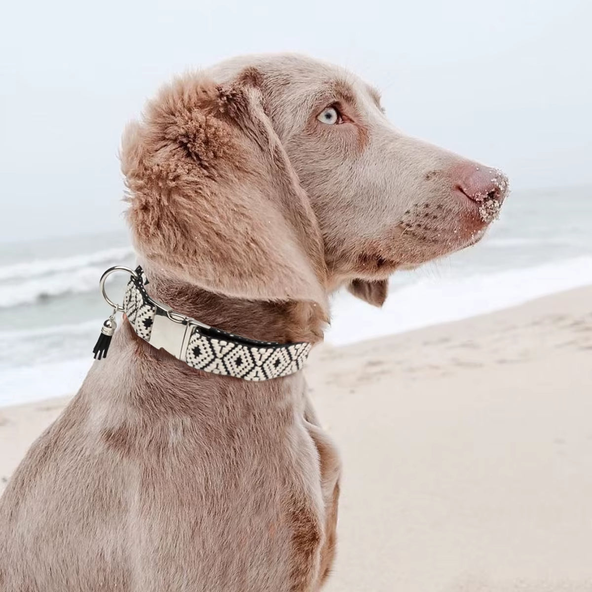 Bohemian Ethnic Dog Collar – Adjustable Woven Design for Small, Medium & Large Dogs