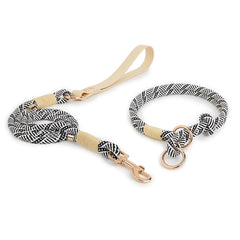 Slip Nylon Collar and Leashes Sets Pet Neck Ring Adjustable Rope for Small Medium Large Easy Handle Outdoor Walking Dogs 4 Sizes