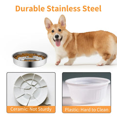 Stainless Steel Slow Feeder Dog Bowl - Anti-Gulp Puzzle Dish