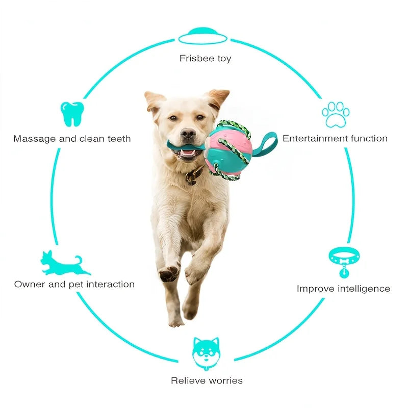Pet Toys: Interactive Frisbee Soccer & Training Ball for Dogs
