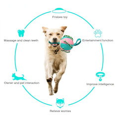 Pet Toys: Interactive Frisbee Soccer & Training Ball for Dogs
