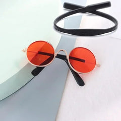 Fun Kitty Sunglasses