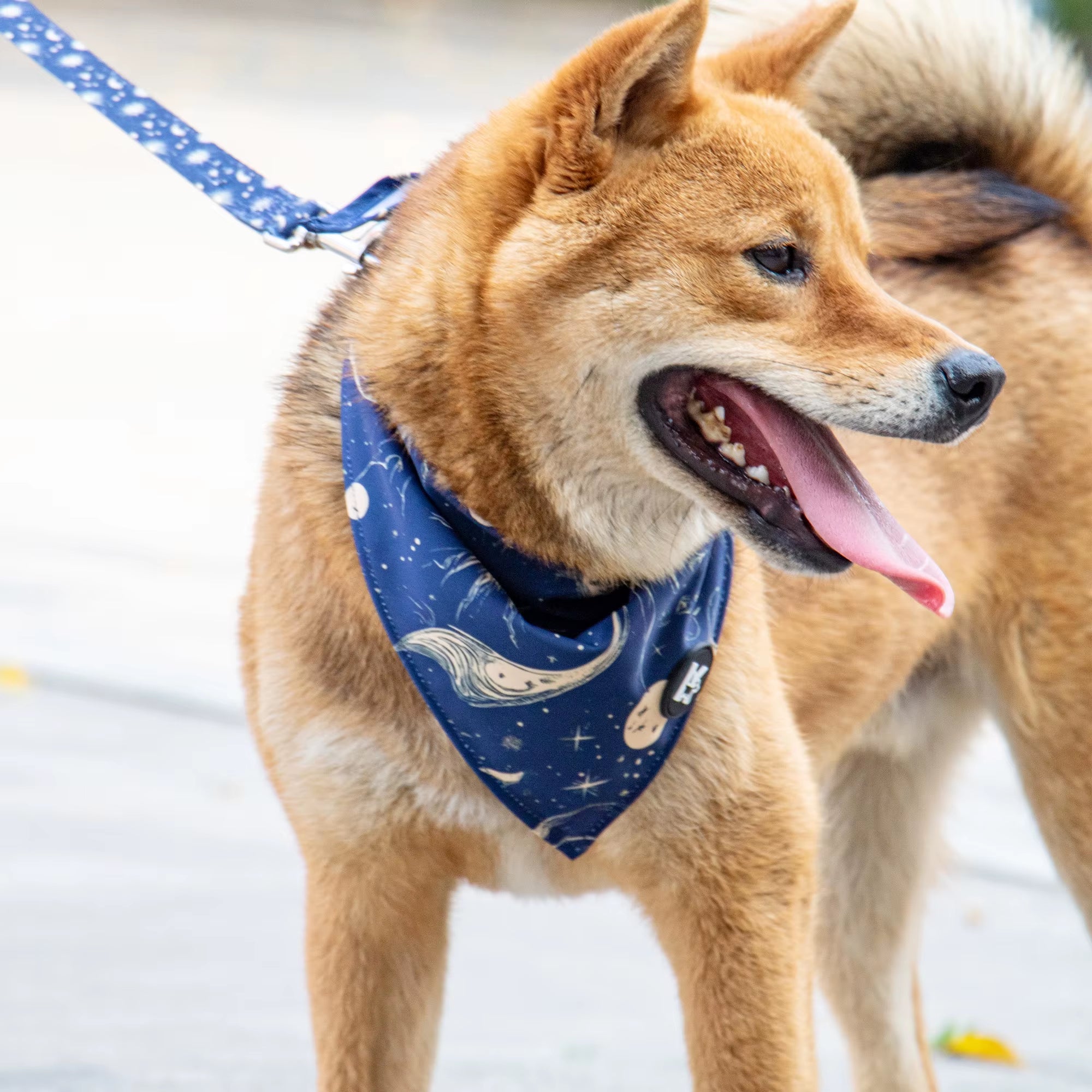 Fashion Floral Pet Bandanas