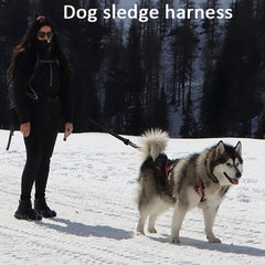 Reflective Padded Dog Sledding & Weight Pulling Harness for Large Dogs