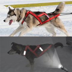 Reflective Padded Dog Sledding & Weight Pulling Harness for Large Dogs