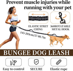 Hands-Free Waist Dog Leash with Zippered Walking Pouch - Reflective Shock-Absorbing Bungee Lead and Dual Padded Handles for Running, Walking, and Jogging