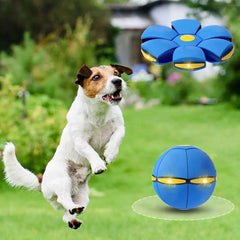 Interactive Dog Flying Disc Ball Toy with LED Lights, Collapsible Flying Saucer Ball for Outdoor Fetch, Dog Training & Exercise Toy