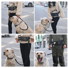 Bungee Waist Dog Leash – Hands‑Free Running & Walking Belt with Fanny Pack, Shock‑Absorbing Lead for Medium & Large Dogs