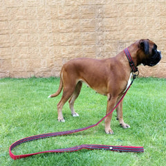Premium Reflective Dog Leash & Collar Set – Adjustable, Durable & Safety-Enhanced Design