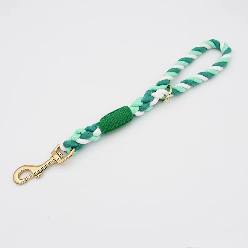 Loudik P-Chain Collar Leads - Fancy Styles